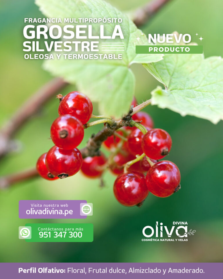 GROSELLA-SILVESTRE-FRAGANCIA-COSMÉTICA