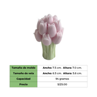 BOUQUET TULIPÁN  MOLDE
