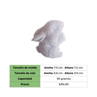 CONEJO MOLDE