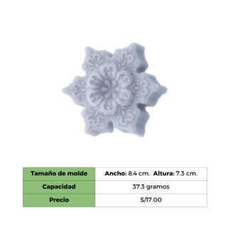COPO DE NIEVE - MOLDE