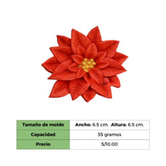 FLOR DE PASCUA - MOLDE