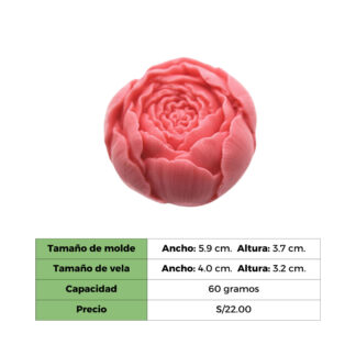 ROSE MEDIANO MOLDE