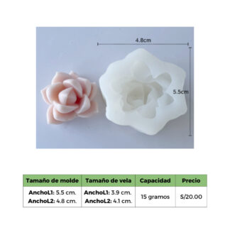 SUCULENTA 4 MOLDE